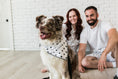 Load image into Gallery viewer, Buddy Dog Bandana