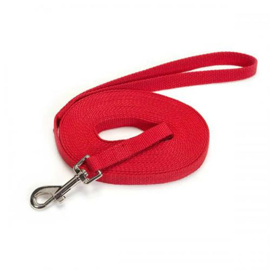 Training Lead