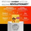 Load image into Gallery viewer, Dr Woow Skin and Coat Soft Chews