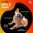 Load image into Gallery viewer, Dr Woow Skin and Coat Soft Chews