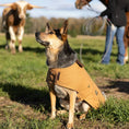 Load image into Gallery viewer, DCNY Canyon Working Coat