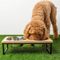 Load image into Gallery viewer, GF Pet Wood & Metal Elevated Feeder