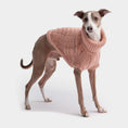 Load image into Gallery viewer, GF Pet Chalet Dog Sweater