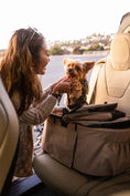 Load image into Gallery viewer, Newport Pet Stroller (3-in-1 Travel System)