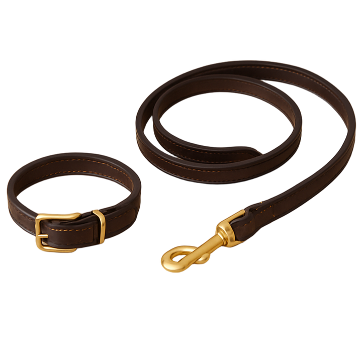 Circular leather collar and leash with matching beige background