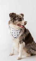 Load image into Gallery viewer, Buddy Dog Bandana
