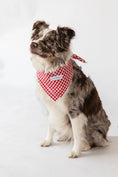Load image into Gallery viewer, Buddy Dog Bandana

