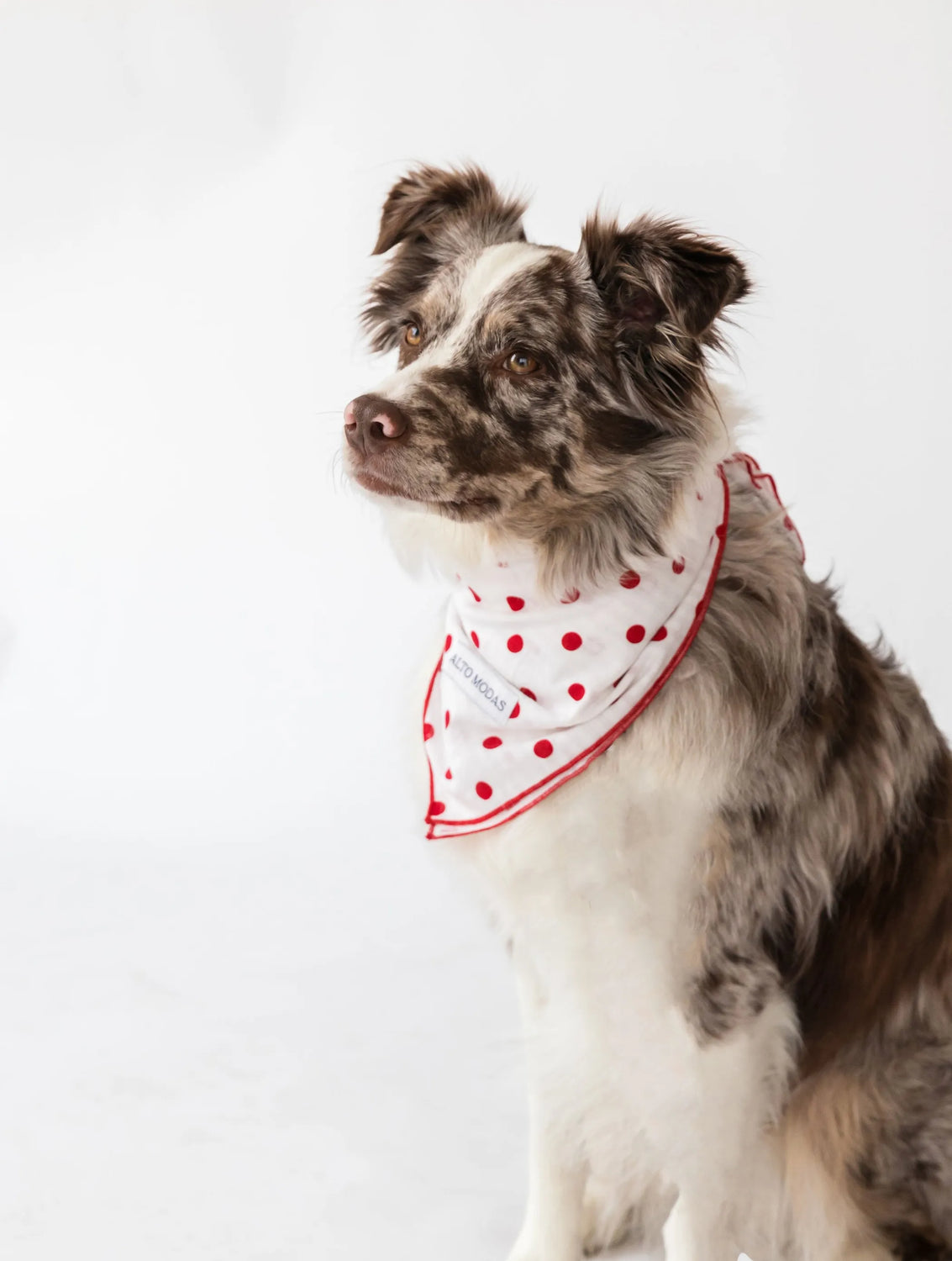 Bow Ties & Bandanas