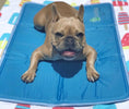 Load image into Gallery viewer, Cool Pet Pad
