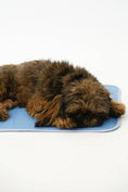 Load image into Gallery viewer, Cool Pet Pad
