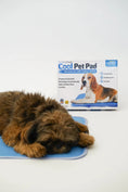 Load image into Gallery viewer, Cool Pet Pad
