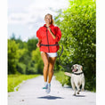 Load image into Gallery viewer, JESPET Hands Free Dog Leash for Running, Walking, Hiking Jogging for Medium & Large Dogs up to 150lbs, Durable Dual Handle Waist Leash with Reflective Bungee and Adjustable Waist
