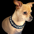 Load image into Gallery viewer, Luxurious Tweed Collar
