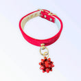 Load image into Gallery viewer, Velvet Gift Wrap Bow Collar
