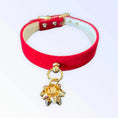 Load image into Gallery viewer, Velvet Gift Wrap Bow Collar
