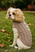 Load image into Gallery viewer, Pumpkin Pie Pearl Knit Dog Sweater
