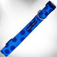 Load image into Gallery viewer, Polka Dot Dog - Monotone Collars

