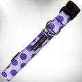 Load image into Gallery viewer, Polka Dot Dog - Monotone Collars

