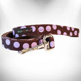 Load image into Gallery viewer, Polka Dot Dog Leads

