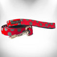 Load image into Gallery viewer, Polka Dot Dog Leads
