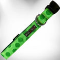 Load image into Gallery viewer, Polka Dot Dog - Monotone Collars
