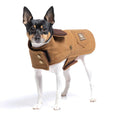 Load image into Gallery viewer, DCNY Canyon Working Coat
