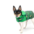 Load image into Gallery viewer, "Green with Envy" - DCNY Equestrian Collection
