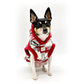 Load image into Gallery viewer, "Through the Woods" Luxe Fleece Blanket Hoodie w/ Pom Pom
