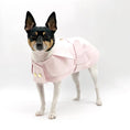 Load image into Gallery viewer, DCNY Belted Trench Coat

