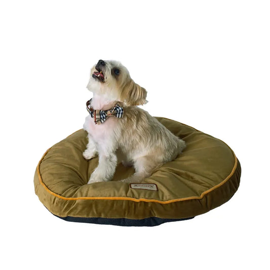 Armarkat Pet Bed Pad, Poly Fill Dog Cushion Bed