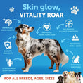 Load image into Gallery viewer, Salmon Oil for Dogs
