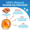 Load image into Gallery viewer, Salmon Oil for Dogs

