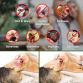 Load image into Gallery viewer, Ear Cleaner Wipes by Arava for Dogs
