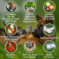 Load image into Gallery viewer, Ear Cleaner Wipes by Arava for Dogs
