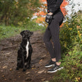 Load image into Gallery viewer, GF Pet  Treat Bag

