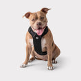 Load image into Gallery viewer, GF Pet  Travel Harness
