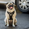 Load image into Gallery viewer, GF Pet  Travel Harness
