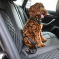 Load image into Gallery viewer, GF Pet  Pet Seat Belt Tether  Black
