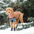 Load image into Gallery viewer, GF Pet ElastoFit Urban Dog Parka
