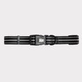 Load image into Gallery viewer, GF Pet  Reflective Collar
