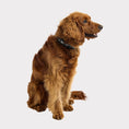 Load image into Gallery viewer, GF Pet  Reflective Collar
