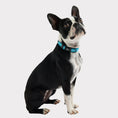 Load image into Gallery viewer, GF Pet  Reflective Collar
