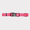 Load image into Gallery viewer, GF Pet  Reflective Collar
