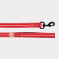 Load image into Gallery viewer, GF Pet  Reflective Leash
