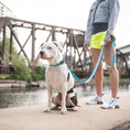 Load image into Gallery viewer, GF Pet  Reflective Leash
