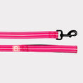 Load image into Gallery viewer, GF Pet  Reflective Leash
